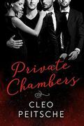 Private Chambers (Lawyers Behaving Badly Series #4) by Cleo Peitsche