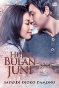 Hujan Bulan Juni (Trilogi Hujan Bulan Juni #1) by Sapardi Djoko Damono