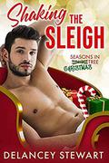 Shaking the Sleigh: A holiday romantic comedy by Delancey Stewart