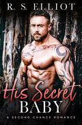 His Secret Baby (The Billionaire's Secret #3) by R.S. Elliot