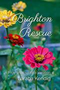 Brighton Rescue: A Pride and Prejudice Variation by Laraba Kendig