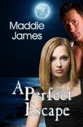 A Perfect Escape by Maddie James