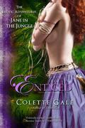 Enticed: An Erotic Sacrifice (The Erotic Adventures of Jane in the Jungle #4) by Colette Gale