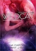 Teasing the Wildcat (Sargosian Chronicles #2) by Bethany J. Barnes