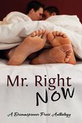 Mr. Right Now by Alix Bekins