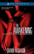 The Awakening: Book One of the Chronicles of the Nubian Underworld (The Chronicles of the Nubian Underworld #1) by Shakir Rashaan