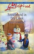 Snowbound in Dry Creek (Dry Creek #14) by Janet Tronstad