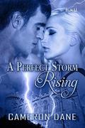 A Perfect Storm Rising by Cameron Dane