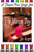 The Harem Boy (Gods and Chaos #0.5) by Jay Lygon