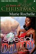 Special Delivery (Special Delivery #1) by Marie Rochelle