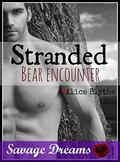 Stranded: Bear Encounter (Savage Dreams #2) by Alice Blythe