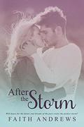 After the Storm (Dreams #2) by Faith Andrews