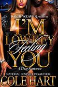 I'm Low Key Feeling You by Cole Hart