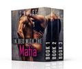 In Bed with the Mafia Boxset: New Adult Billionaire Romantic Suspense: Kissed by the Don, Touched by the Don, Desired by the Don by S.K. Lee