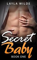 Secret Baby (Book One) (Secret baby, billionaire baby #1) by Layla Wilde