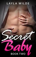Secret Baby (Secret baby, billionaire baby #2) by Layla Wilde