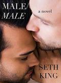 Male/Male: A Novel by Seth King