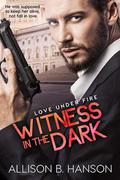 Witness in the Dark (Love Under Fire #1) by Allison B. Hanson