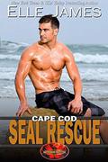 Cape Cod SEAL Rescue by Elle James