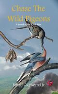 Chase The Wild Pigeons: A novel of the Civil War by John Gschwend