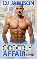 Orderly Affair by D.J. Jamison