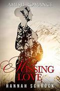 Missing Love by Hannah Schrock