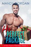 His Perfect Package (A Very Curvy Christmas #3) by Mandy Morgan