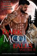 Dark Moon Falls: Volume 2 (Dark Moon Falls #1) by Bella Roccaforte