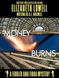 Money Burns (Fiddler and Fiora Mystery #6) by A.E. Maxwell