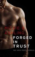 Forged In Trust: Bay Area Professionals Book 4 (Bay Area Professionals #4) by Mickie B. Ashling