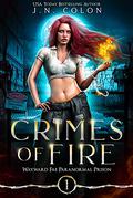 Crimes of Fire by J.N. Colon