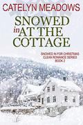 Snowed In at the Cottage by Catelyn Meadows