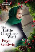 The Little Christmas Waif by Faye Godwin