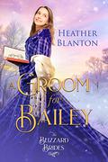 A Groom for Bailey (The Blizzard Brides #16) by Heather Blanton
