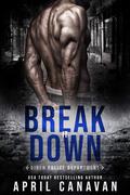 Break it Down (Birch County Heroes #4) by April Canavan