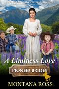 A Limitless Love by Montana Ross