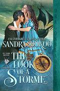 The Look of a Storme (The Storme Brothers #3) by Sandra Sookoo