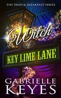 Witch of Key Lime Lane by Gabrielle Keyes