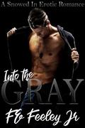 Into the Gray (The Color of Love #1) by F.E. Feeley Jr.