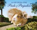 A Guinea Pig Pride & Prejudice by Alex Goodwin, Jane Austen
