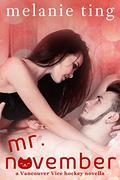 Mr. November (Vancouver Vice #4) by Melanie Ting