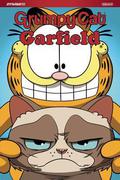 Grumpy Cat & Garfield (Grumpy Cat/Garfield #1-3) by Mark Evanier