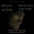 Silver in the Wood & Drowned Country: The Greenhollow Duology (The Greenhollow Duology #1-2) by Matthew Lloyd Davies