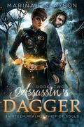 Assassin's Dagger (Thirteen Realms: Thief of Souls #2) by Marina Finlayson