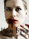 Moon Burn (Beautiful Damned #2) by Penelope Fletcher
