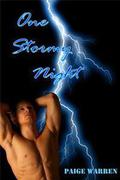 One Stormy Night by Paige Warren
