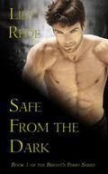Safe From the Dark (Bright's Ferry #1) by Lily Rede