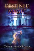 Destined Magic (A Witch Guardian Romance #1) by Caryn Moya Block