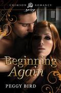 Beginning Again (Second Chances #1) by Peggy Bird