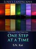 One Step at a Time (Love's Landscapes) by S.N. Kat